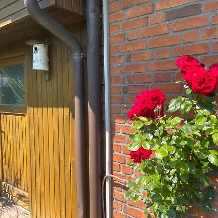 Schafflund Urlaub Zwischen Den Meeren 아파트 외부 사진
